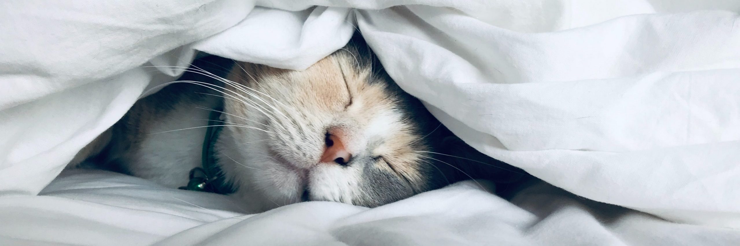 hypnose sommeil mieux dormir